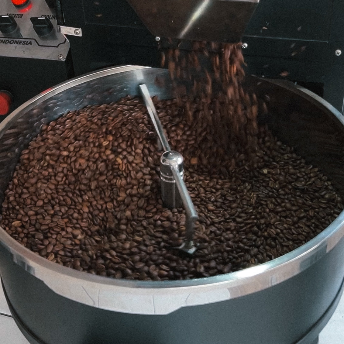 Aceh Gayo Coffee Beans 500g